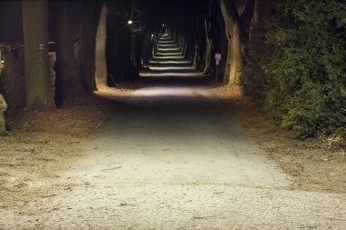 Gece park sokak geç sonbaharda ile