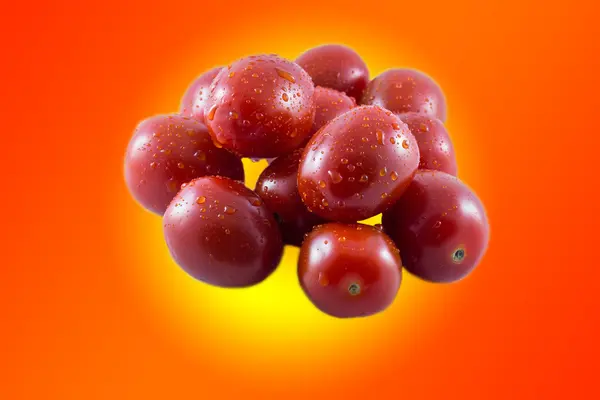 Tomato isolated on colored background — Stock Photo, Image