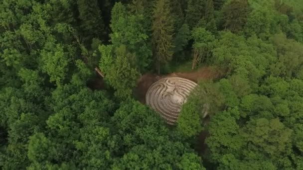 Aérien d'un labyrinthe dans la forêt — Video