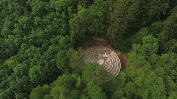 Stone doolhof luchtfoto in het bos — Stockvideo