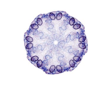 Temel parçacıklar serisi. Nükleer fizik ve grafik tasarımı konularında soyut fraktal formların etkileşimi.
