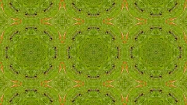 Mosaik fraktale geometrische Kaleidoskopie — Stockvideo