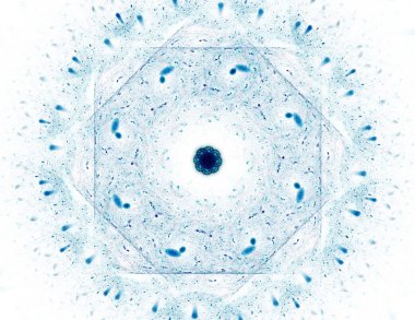 Temel parçacıklar serisi. Nükleer fizik ve grafik tasarımı konularında soyut fraktal formların etkileşimi.