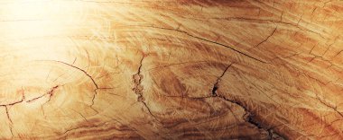 arkaplan ve dokular kavramı - ahşap doku veya arkaplan