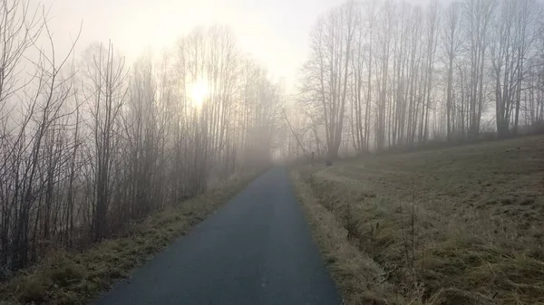 Herbstliche Naturszene Strahlen Der Morgensonne Scheinen Durch Den Geheimnisvollen Nebel — Stockfoto
