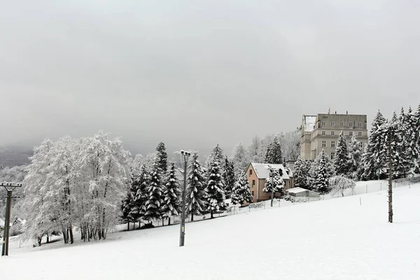 Pino Edificio Información Turística Cubierto Nieve Temporada Invierno Vista Desde — Foto de Stock