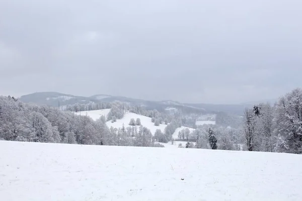 Sneeuwstorm Bergen Magisch Landschap Met Wolken Mist Een Zonnige Winterochtend — Stockfoto