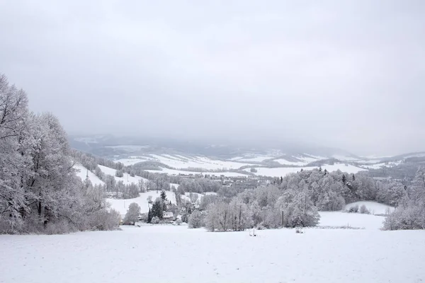 Granskog Snötäckt Kulle Vackert Bergslandskap Vintern Dimmigt Väder Med Ljus — Stockfoto