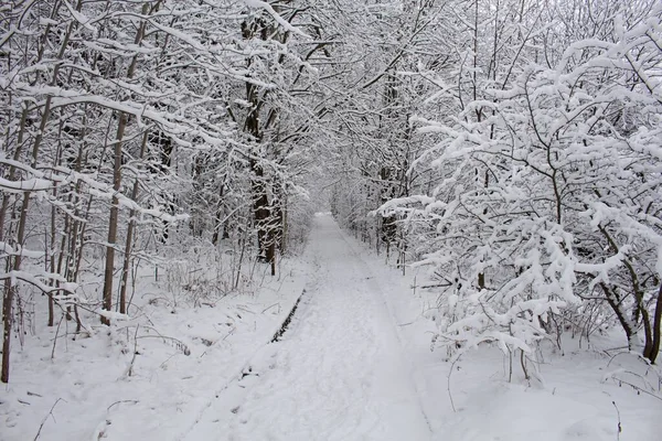 Zima Śnieg Asfaltowej Drodze Droga Jest Zamarznięta Pogoda Jest Bardzo — Zdjęcie stockowe