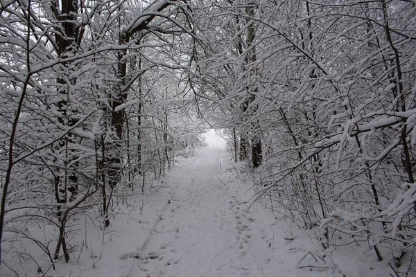 Hora Inverno Neve Estrada Asfalto Estrada Está Congelada Tempo Está — Fotografia de Stock