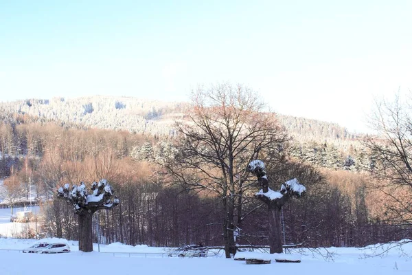 Зимний Лес Покрыт Свежим Снегом Горы Холмы Белые Снег Падает — стоковое фото