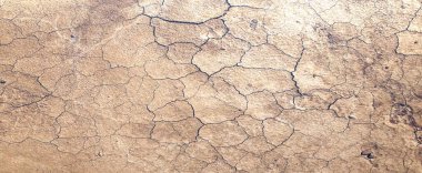 Close up of Fiber structure of dry leaves texture background. Cell patterns of Skeletons leaves, foliage branches, Leaf veins abstract of Autumn background for creative banner design or greeting card