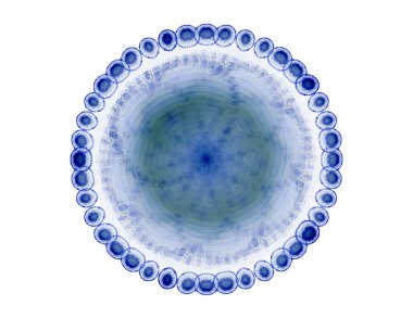 parlak renkli fraktal mandala, yaratıcı grafik tasarım için dijital sanat