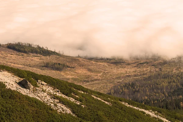 Tatry z chmury rano — Zdjęcie stockowe