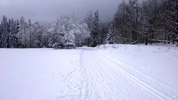 Зимовий пейзаж - дорога в лісі — стокове фото