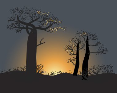 Baobabs Madagaskar doğa günbatımı gökyüzü sahne sakin siluet