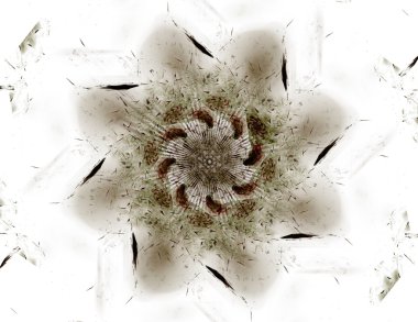 Soyut fraktal desen ve şekiller. Fraktal doku parmak izi.