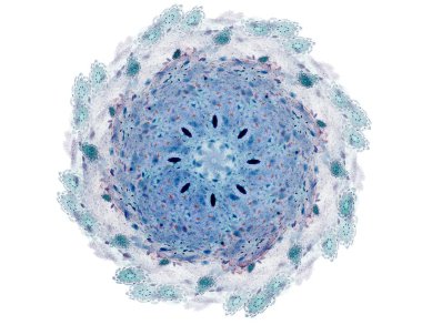 Soyut fraktal enkaz, yaratıcı grafik tasarım için dijital sanat