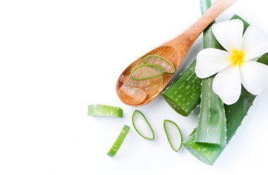 Aloe Vera tahta kaşık dilimlenmiş 