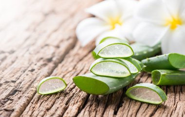 aloe vera dilimlenmiş 