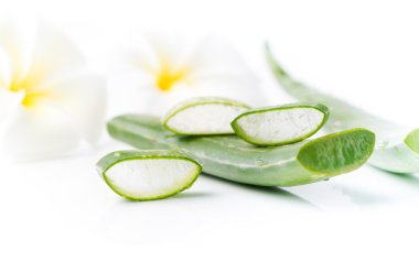 Aloe Vera izole dilimlenmiş