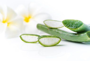 Aloe Vera izole dilimlenmiş