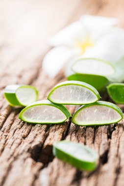 aloe vera dilimlenmiş 