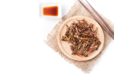 Beyaz arka plan üzerinde izole kızarmış çekirge