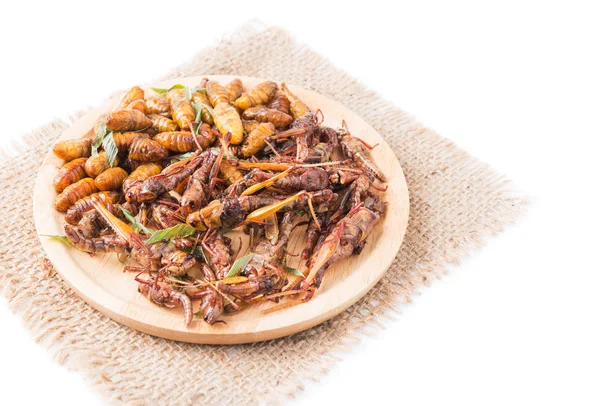 Friterade gräshoppor och Silkworm puppa — Stockfoto