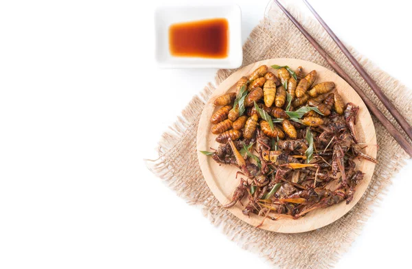 Fried grasshoppers and Silkworm pupa — Stock Photo, Image