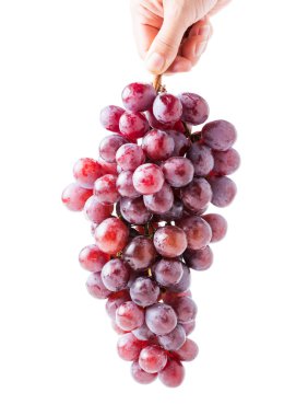 izole elinde taze üzüm 