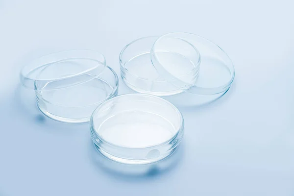 Transparent glass Petri dishes on blue background, Biology laboratory glassware and Scientific equipment concept