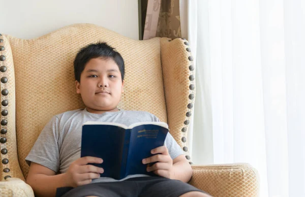 Joven Muchacho Leyendo Libro Silla Casa Concepto Educación —  Fotos de Stock