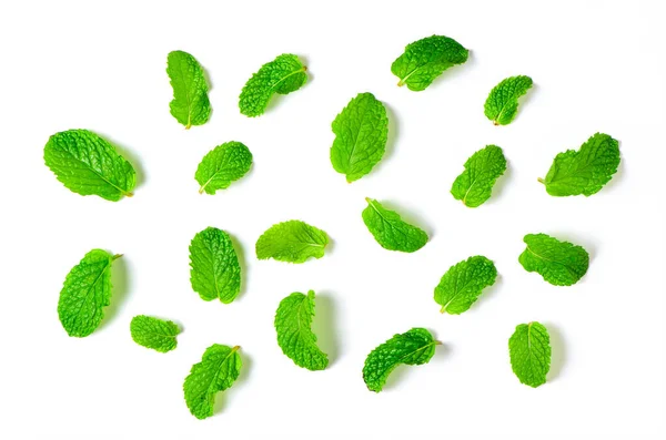 Hojas Menta Aisladas Sobre Fondo Blanco Concepto Hierbas Especias —  Fotos de Stock