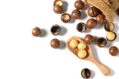 Ahşap kaşıkta soyulmuş macadamia fındıkları beyaz arka planda izole edilmiş, Macadamia fındıkları flavonoidler ve tocotrienollerle dolu ve kalp dostu doymamış yağlar zengin.