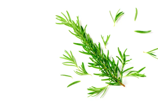 Top View Branch Fresh Rosemary Isolated White Background Rosemary Rich — Stock Photo, Image