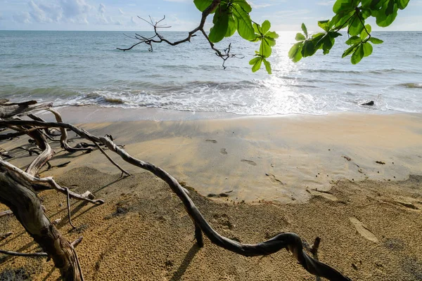 Nangthong Natuurlijk Zwart Strand Thailand Provincie Kholak Phangnga Geweldig Ongezien — Stockfoto