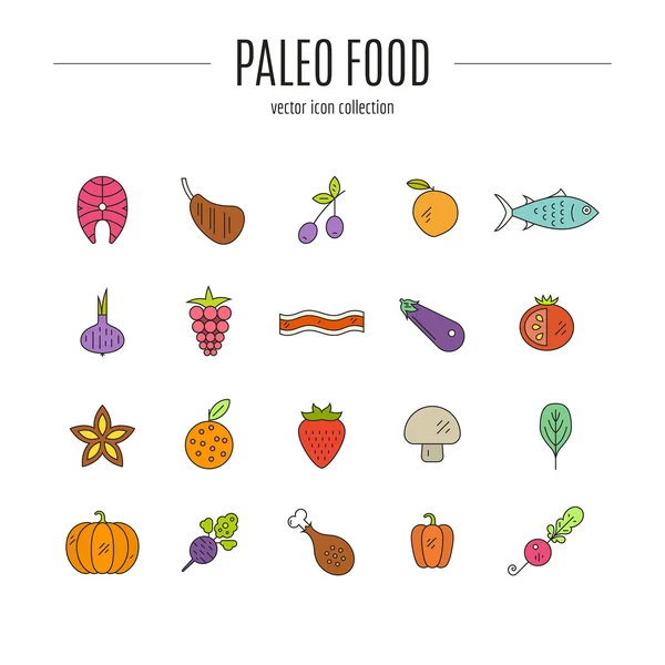 Iconos Paleo Food — Vector de stock