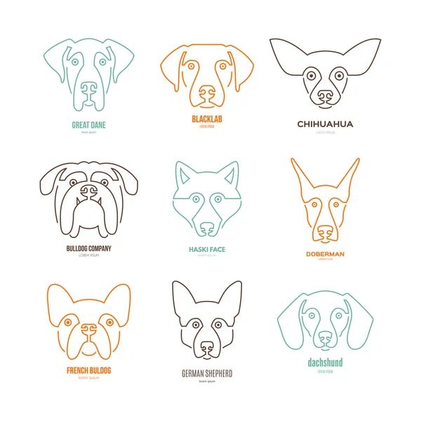 Races différentes de chiens — Image vectorielle