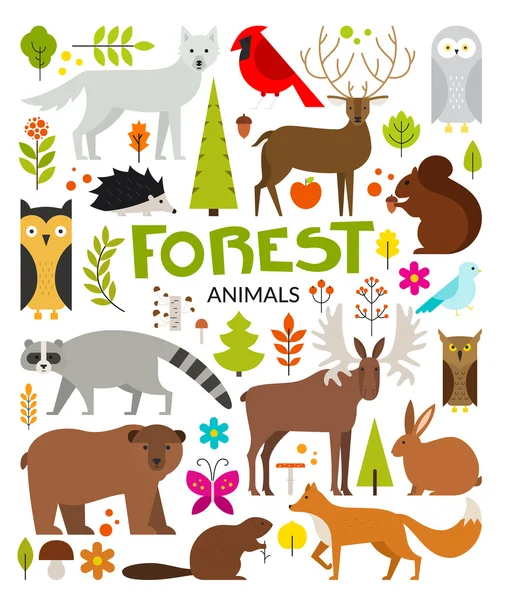 Collecte d'animaux forestiers — Image vectorielle