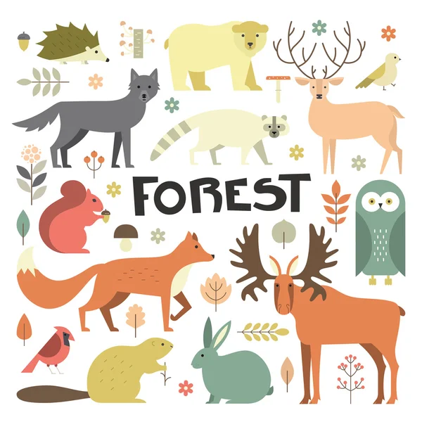 Collection of forest animals — Stock Vector