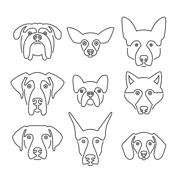 Different dog breeds — Stock Vector