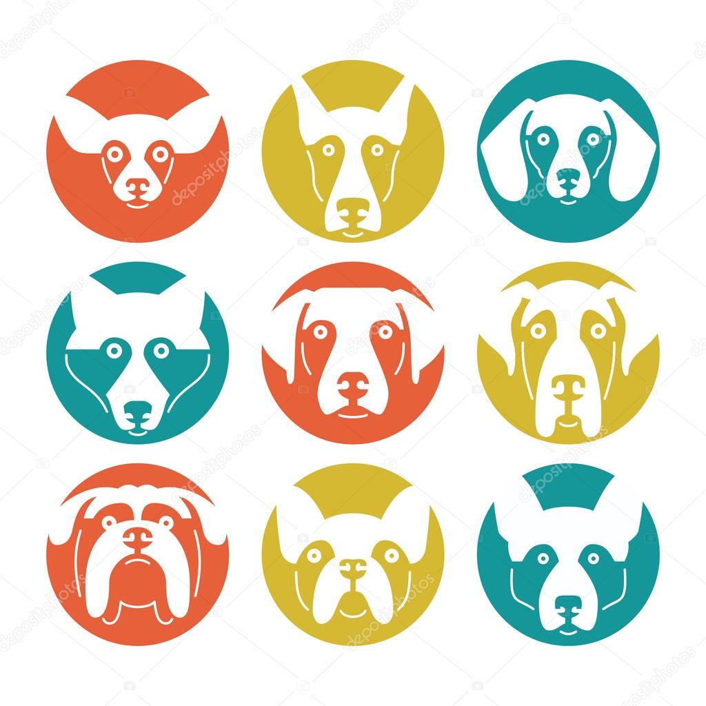 Creative portrait collection of different dog breeds, including german sheepherd, labrador, doberman, husky. Dog faces. Modern illustration of veterinarian clinic, dog breeder logo.