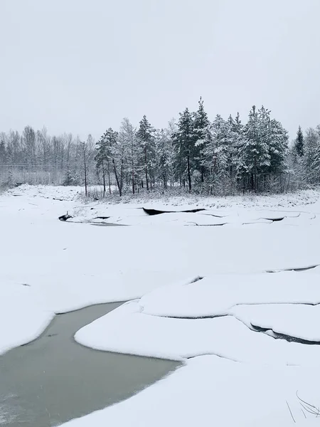 Frosty morgon under vintern. Vinter — Stockfoto