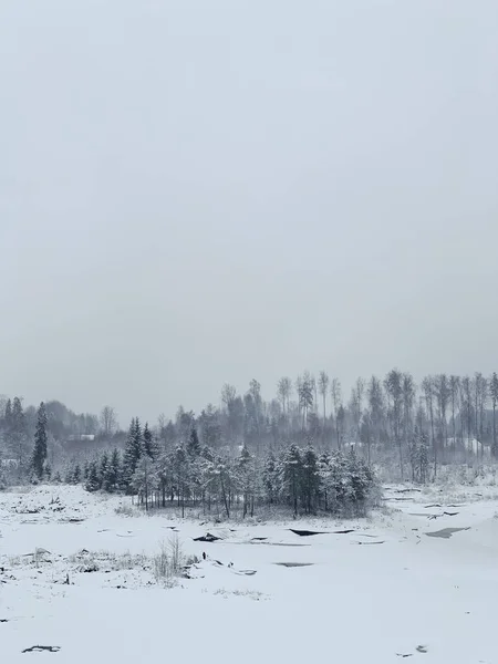 Krásná zimní krajina se sněhem — Stock fotografie