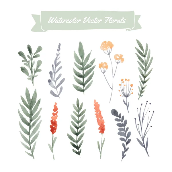 Acuarela flores y hojas . — Vector de stock