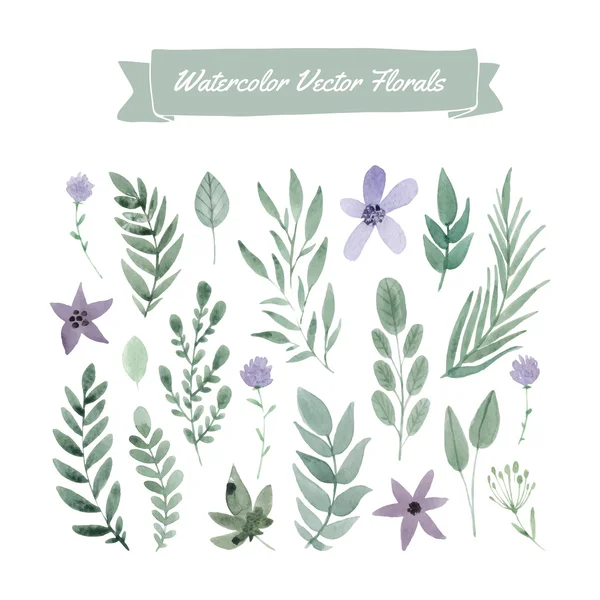 Suluboya çiçek ve yaprakları