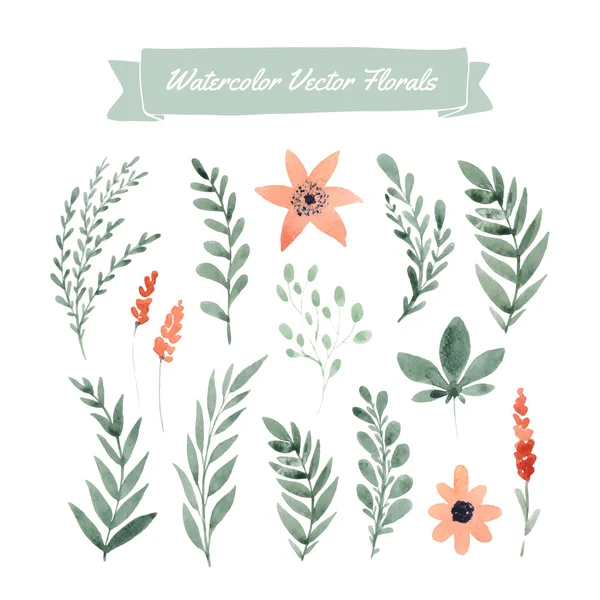 Suluboya çiçek ve yaprakları