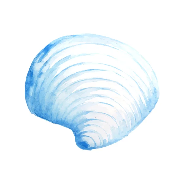 Seashell aquarel illustratie. — Stockvector