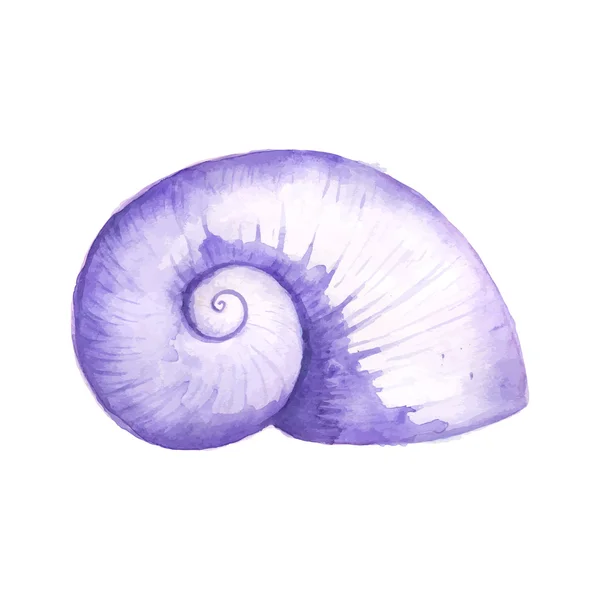 Seashell aquarel illustratie. — Stockvector